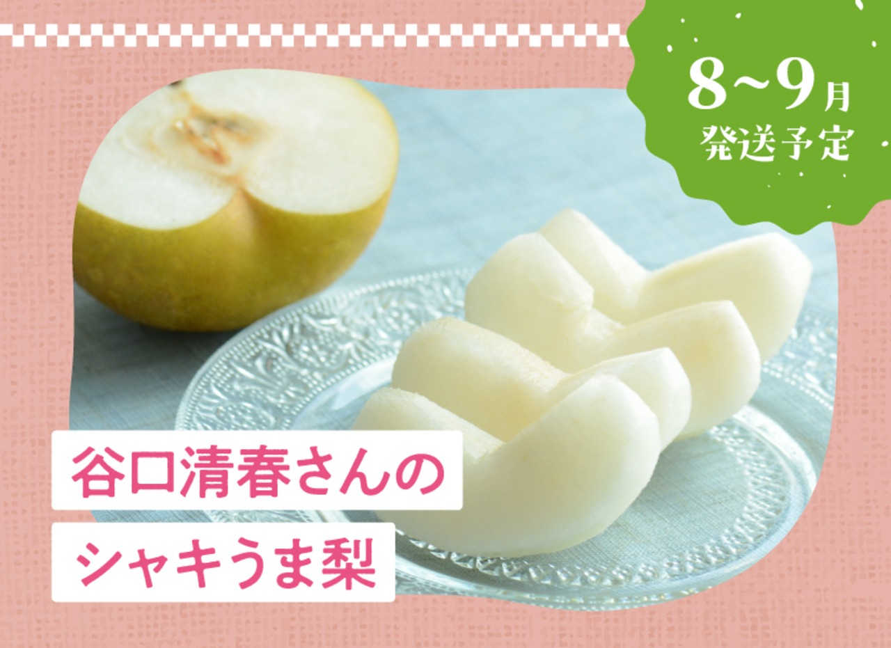 谷口清春さんのシャキうま梨