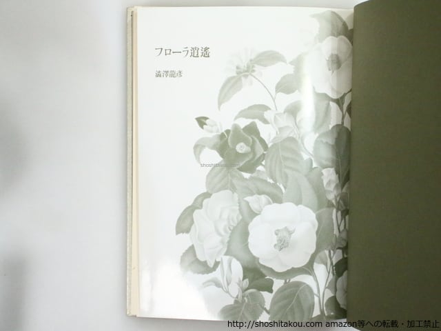 フローラ逍遥 / 澁澤龍彦 [37306][良好] | 書肆田高