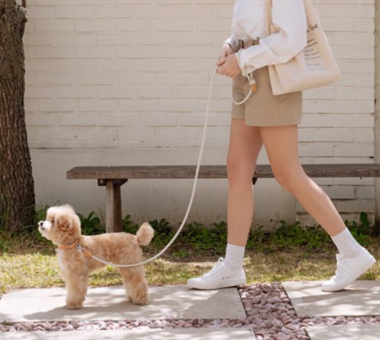 予約【stroll】Rope Leash Classic (Oatmeal)