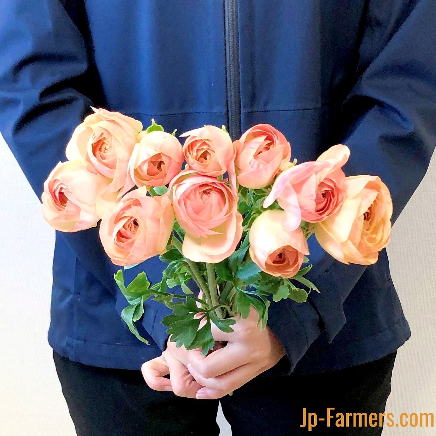 フラワースピリットのラナンキュラス エムベージュ 10本 | 新鮮お花