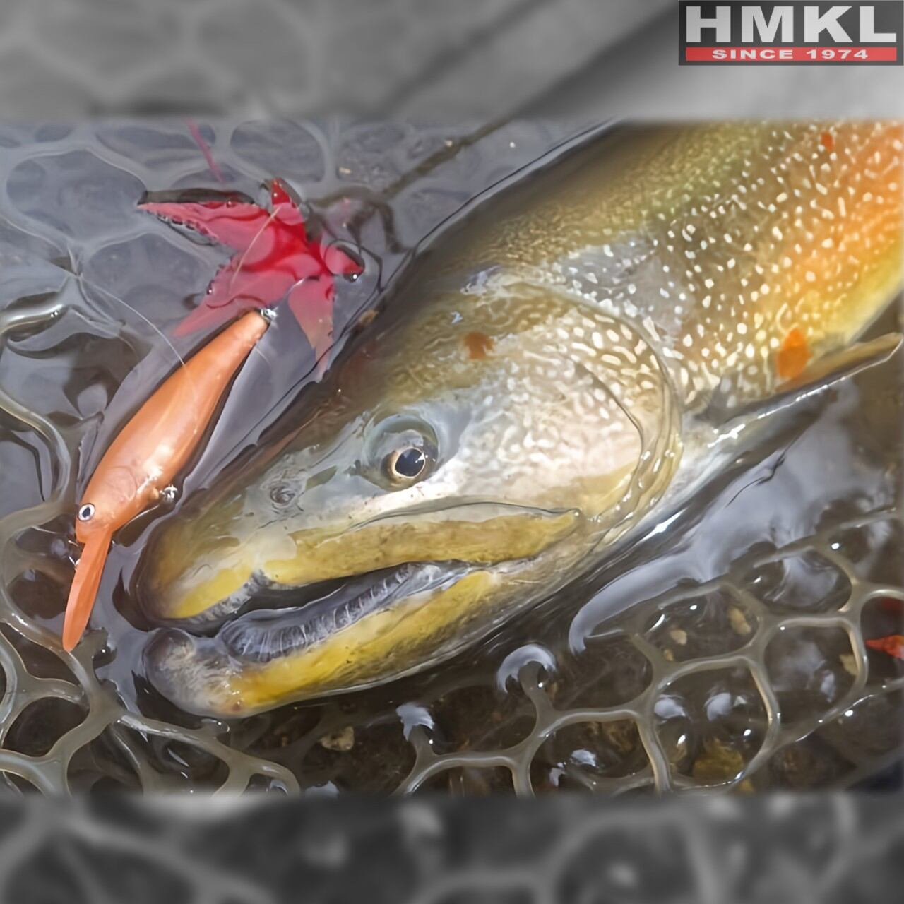 HMKL Shad 65 SR AREA ver. | HMKL ONLINE SHOP ハンクルオンライン