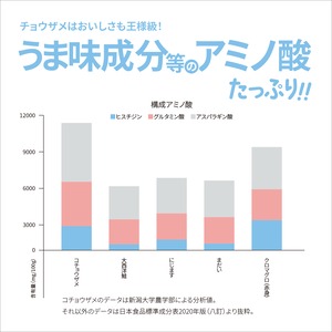 【FISH VEGGIES】新潟チョウザメパスタソース2人前