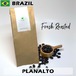 ブラジル プラナウト農園 スーパーナチュラル 100g