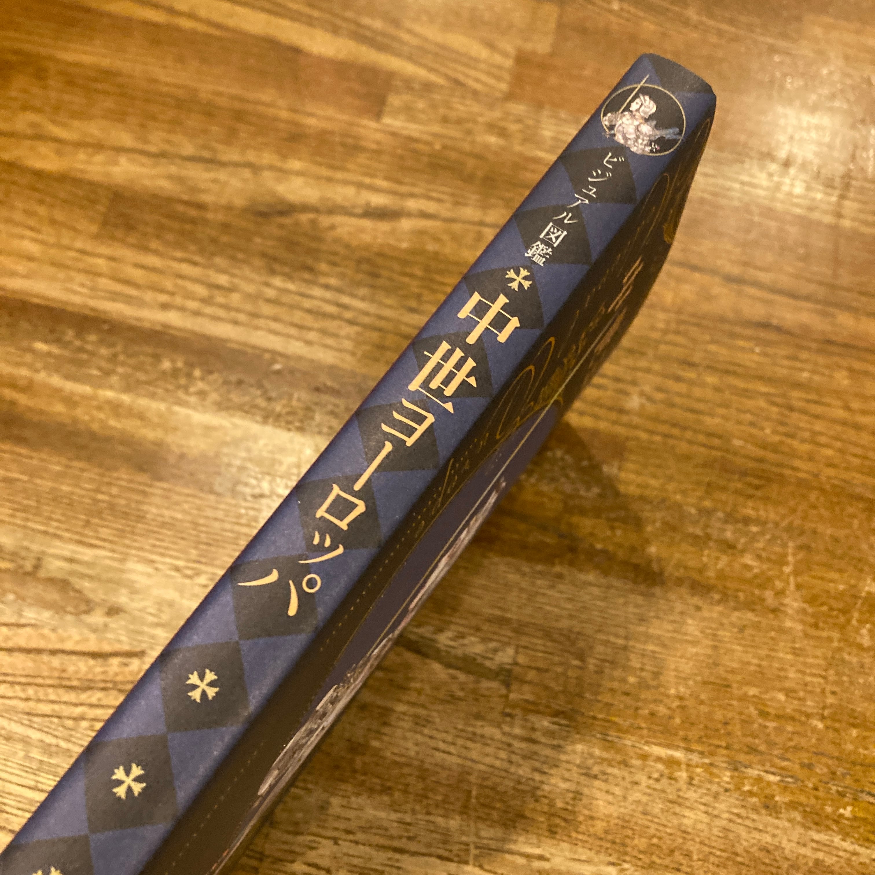 ビジュアル図鑑 中世ヨーロッパ | 百年