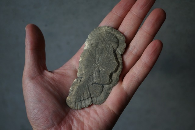 パイライトサン Pyrite Sun 1676