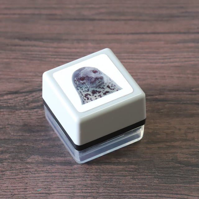 リアルふぉとスタンプ アザラシ RP-062 | 浸透印スタンプ Yamahachi Stamp