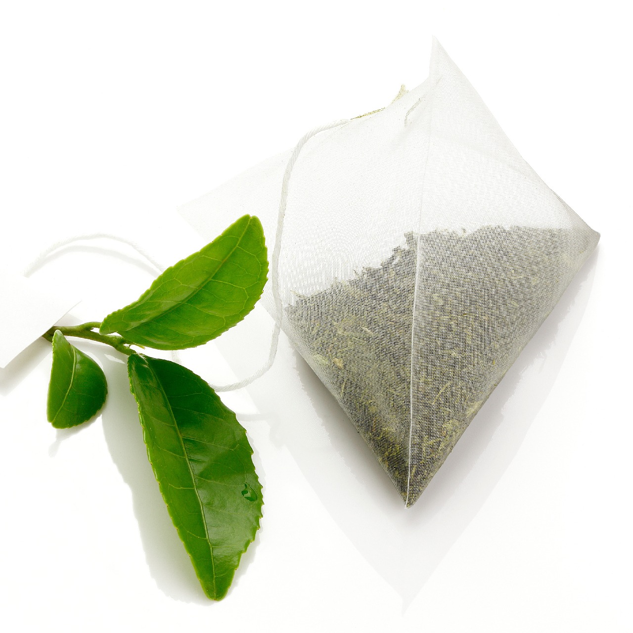 OSAWA CRAFT GREEN TEA（12包入り×1袋）送料込み！