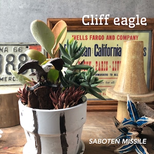 Cliff eagle