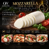 イタリア産 グラスフェッド 冷凍モッツァレラチーズ 1kg(5個)|無添加・IQF冷凍|ピザ・カプレーゼ・グラタン・サンドイッチに|Italian Grassfed Frozen Mozzarella Cheese