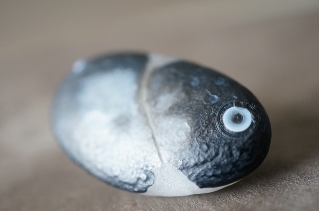 ゴビアゲート Gobi Desert Eye Agate 800