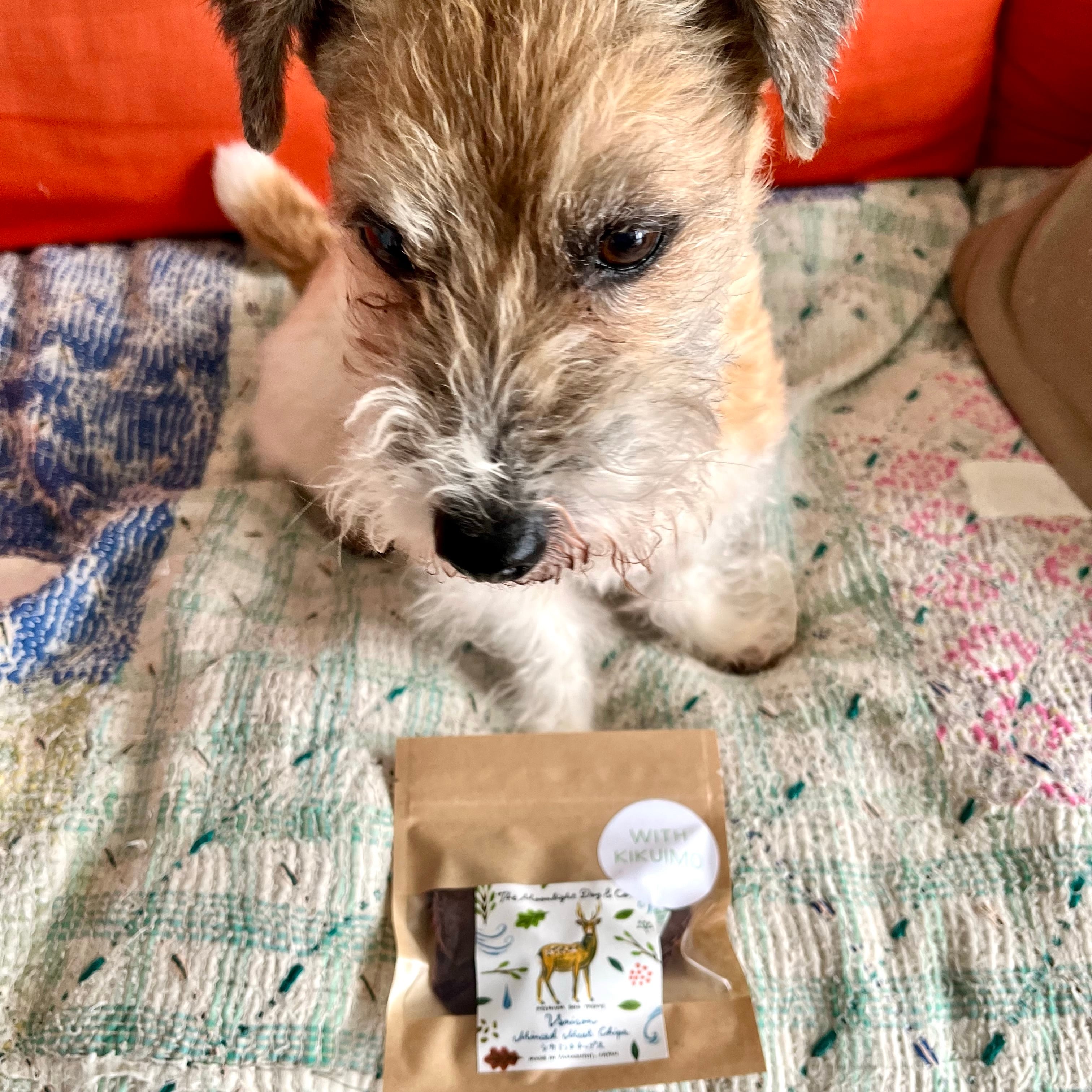 NEW! シカミンチチップス・キクイモMIX