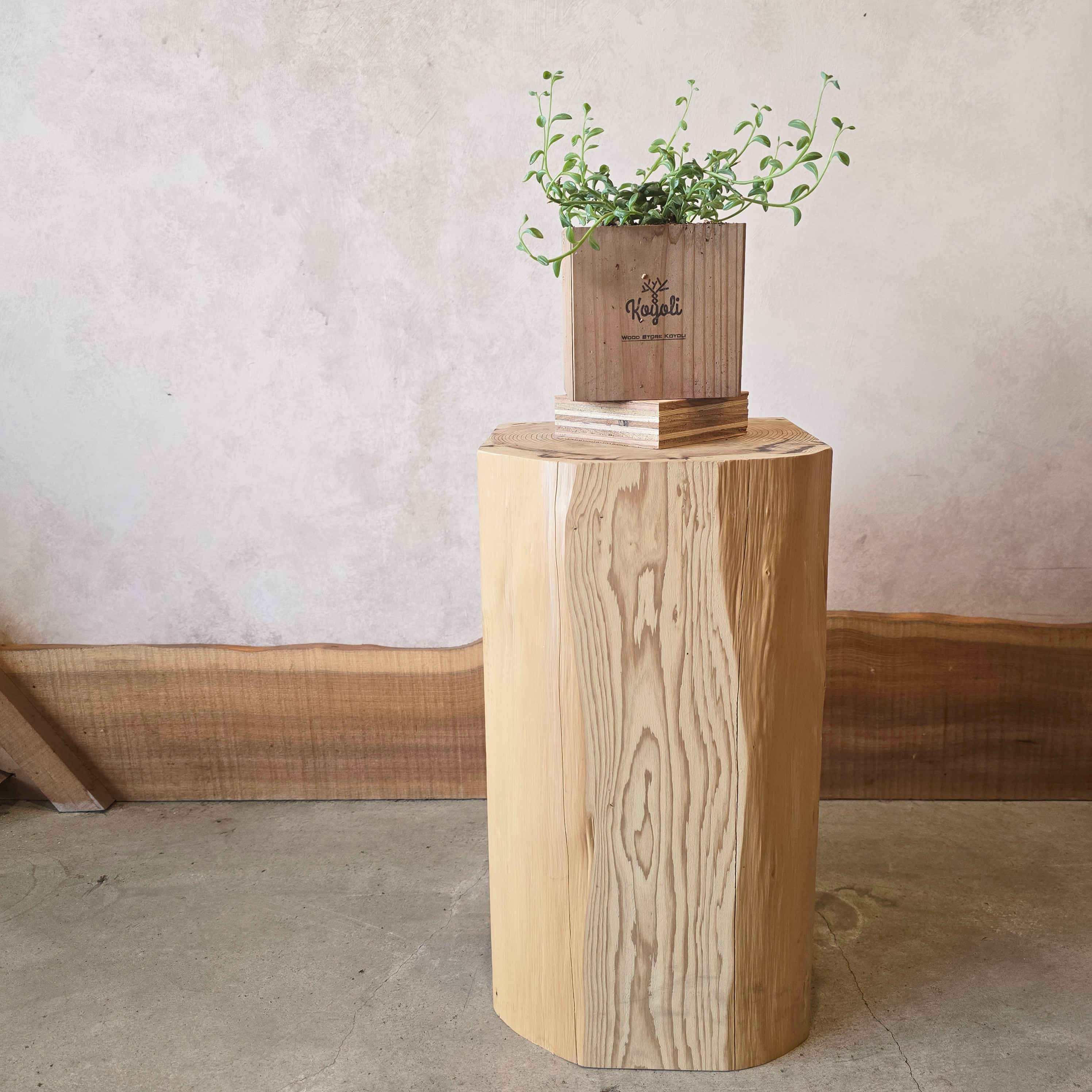 丸太スツール | Wood Store koyoli