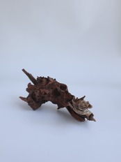 天然木オブジェ