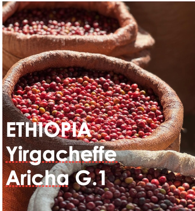 エチオピア アリーチャ 180g