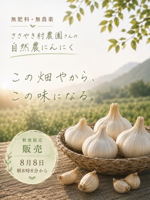 自然農 にんにく　500グラム