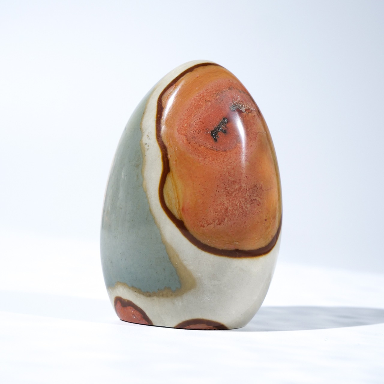 ポリクローム / フリーフォーム【4】