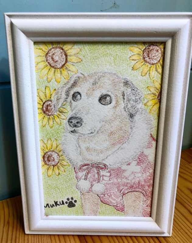 ねこもり！ 犬・猫・色鉛筆イラスト・雑貨