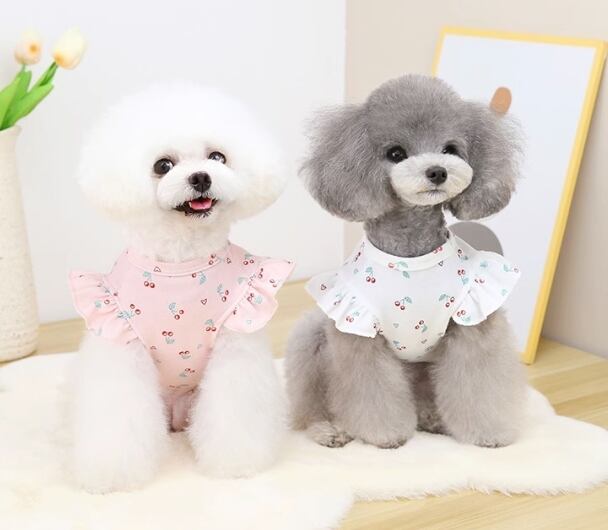 キャット 猫 ドッグ 犬 小型犬 室内着 シャツ Tシャツ 細身 ストレート 袖付き 半袖 ベーシック フルーツ チェリー さくらんぼ 薄手 かわいい シンプル レトロ モダン ラブリー キュート ラグジュアリー クラシカル プレッピー シンプル シック フルーツ柄 柄 春 夏 秋 ロングシーズン サマーシーズン 春服 夏服 秋服 男の子 女の子 成犬 成猫 デート お出かけ アウトドア リゾート 旅行 公園 休日 カフェ 庭 ガーデン 散歩 ウォーキング 室内 おうち 楽ちん 普段使い 清楚