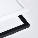 小枝に付いた雪の結晶