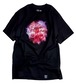 DISSIZIT / HOLLYWOOD BABYLON TEE / BLACK