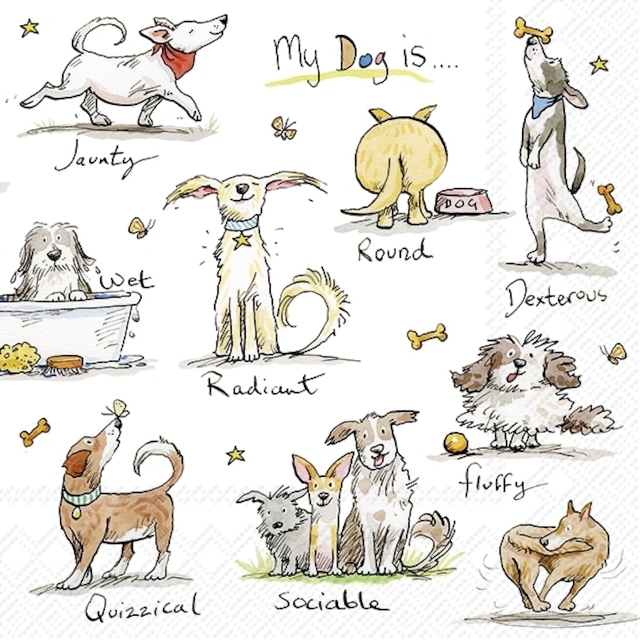 【IHR】バラ売り2枚 ランチサイズ ペーパーナプキン EMOTION DOGS ホワイト Anita Jeram