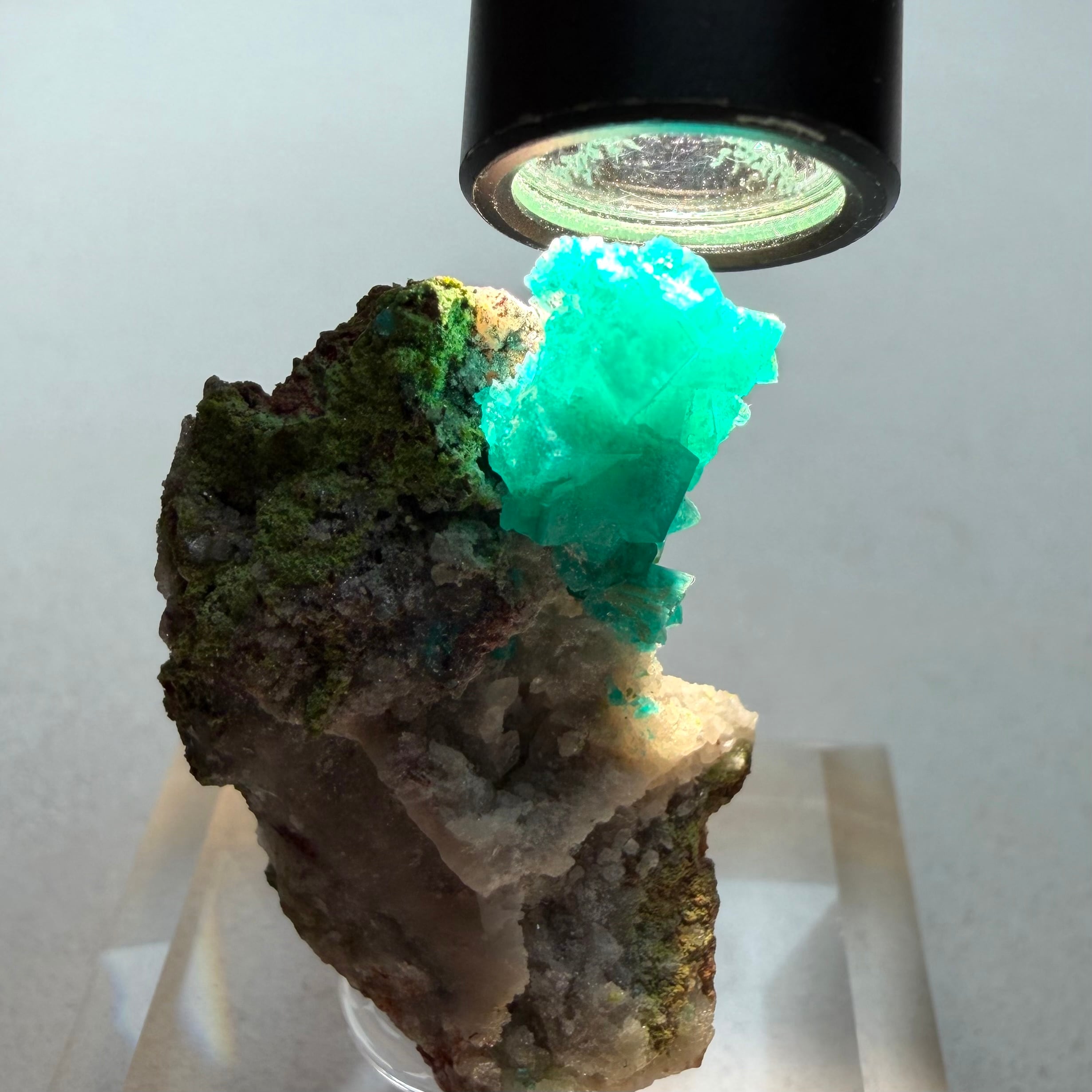 ダイオプテーズ / ダフタイト / カルサイト【Dioptase in Calcite with