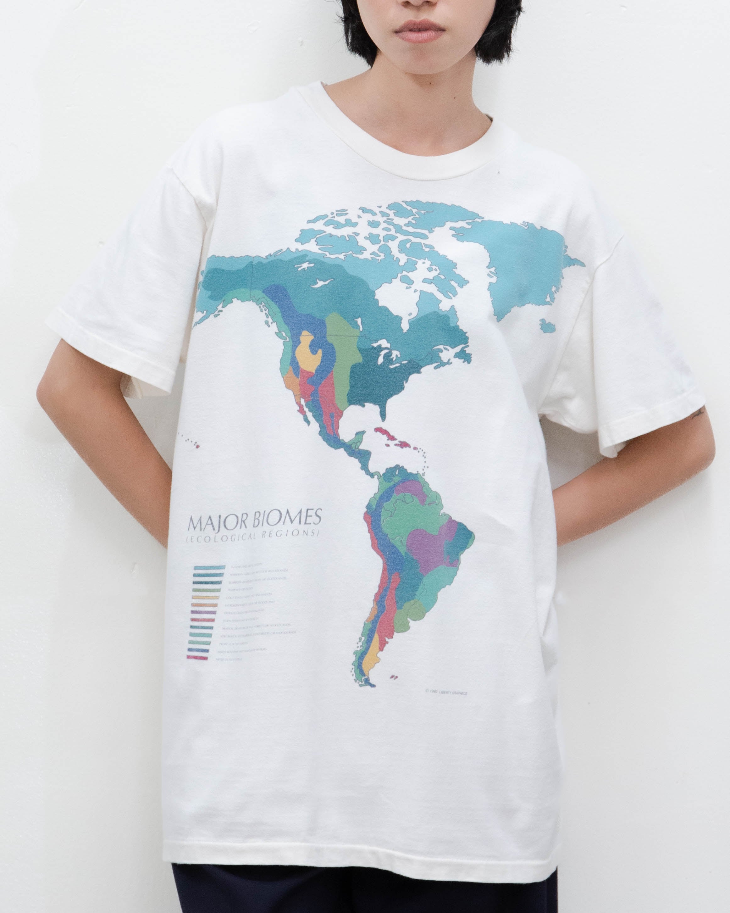カットソー　世界地図 1990s multi-color world map graphic tee | LUIK FINN