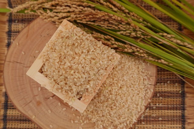 【玄米】【令和5年度】10kg特別栽培米コシヒカリ　　
