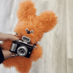 CAMERA (フラッシュ＆シャッター音つき)