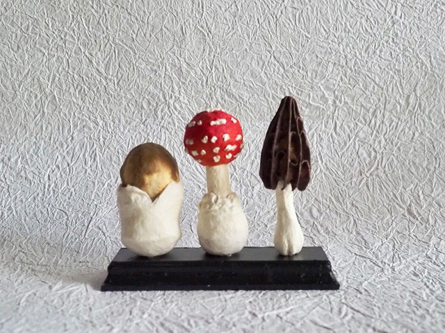 内藤瑠里 紙の心臓 D