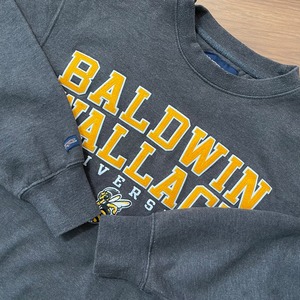 【JANSPORT】カレッジ Baldwin Wallace University ボールドウィンウォーレス大学 刺繍ロゴ スウェット トレーナー XS US古着