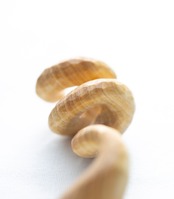 SPIRAL