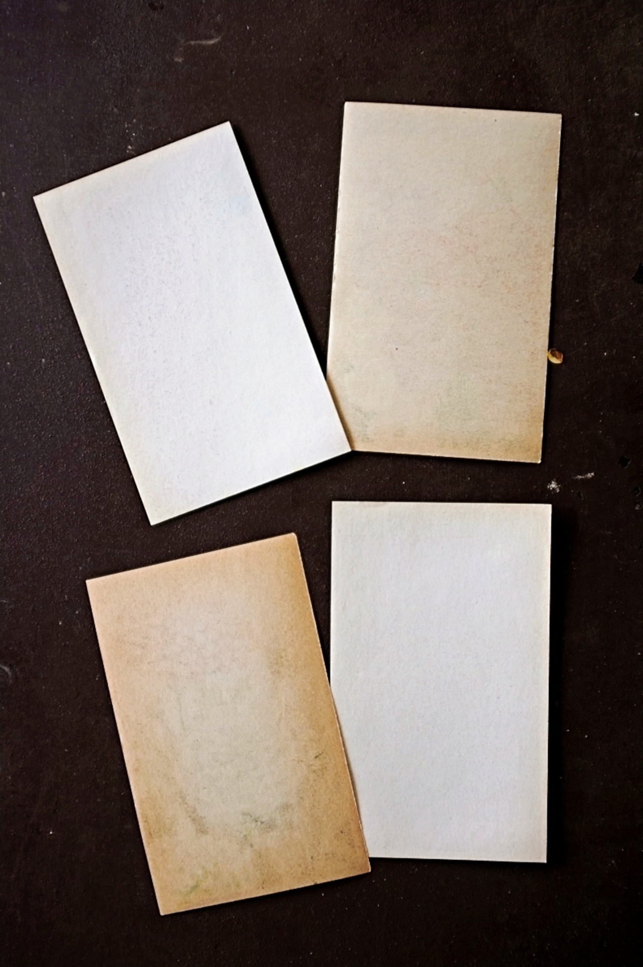 20s フランス 4set 膨満な花々と野菜たち 種子袋用ラベルm アンティーク