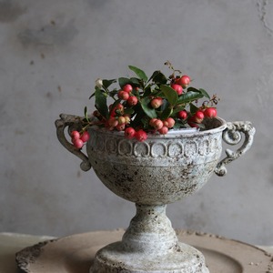 チェッカーベリー　赤い実　クリスマスの寄せ植え　寒さ強い　お花がかわいい