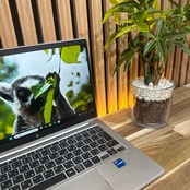 \ 公式ショップ限定価格❣️/ 極美品《2023年モデル》HP EliteBook 630 G10 メモリ16GB SSD256GB 第13世代 ノートパソコン 安心サポート＆3ヶ月保証付き