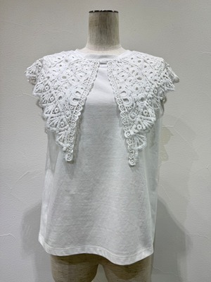 【ご予約】レースカラーノースリTOP 601478 【cyantokyo】