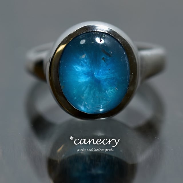 カバンサイトのリング