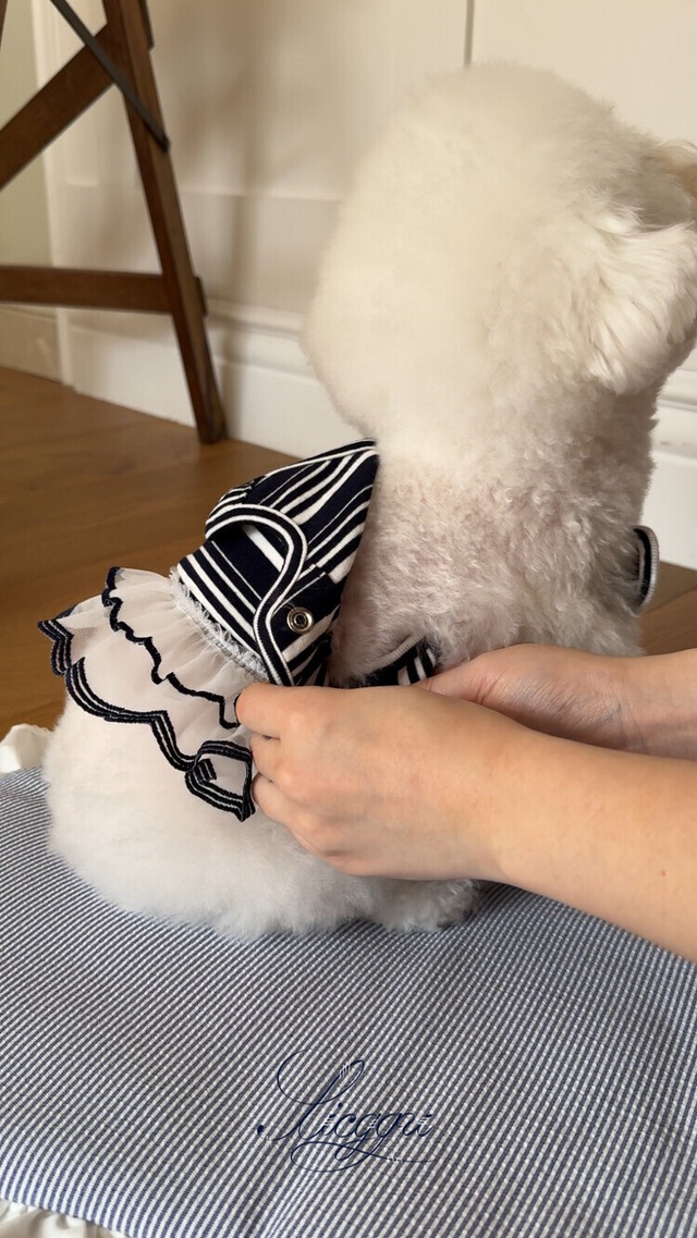 〈即納アイテム〉SICGGU ネイビーストライプ スカート