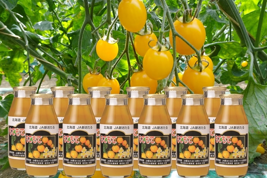 Farmers　３０本】毎日のminiトマトジュース『もてもてキッキ』　Garden　ＪＡ新おたる　オンラインショップ