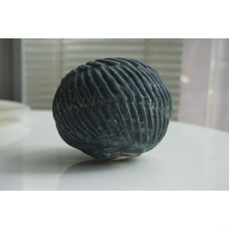 onlineのみ] 一輪挿し 沓沢佐知子 Sachiko Kutsuzawa | proto器と