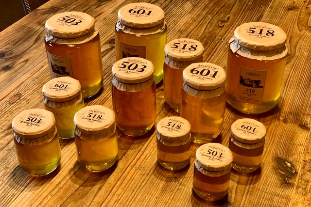 601（2025）-1,000g-