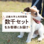 コピー：コピー：コピー：【送料無料】カテキンジャーキー 4個セット｜ 犬用おやつ/ドッグフードのペットフードショップ ホウワ