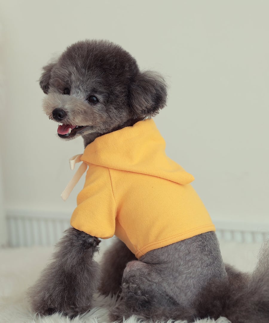 nagrang crop hood S ～ XL 4color / 犬服 秋冬 ショート丈 パーカー フード おパンツカット 無地 シンプル ドッグウェア 小型犬 中型犬 お揃い お出かけ 韓国ワンコ服