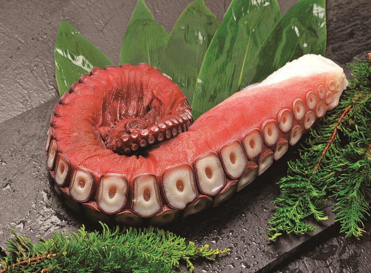 北海道産 特大 蛸足 1本】1kg | マルダイ水産 【公式】 通販