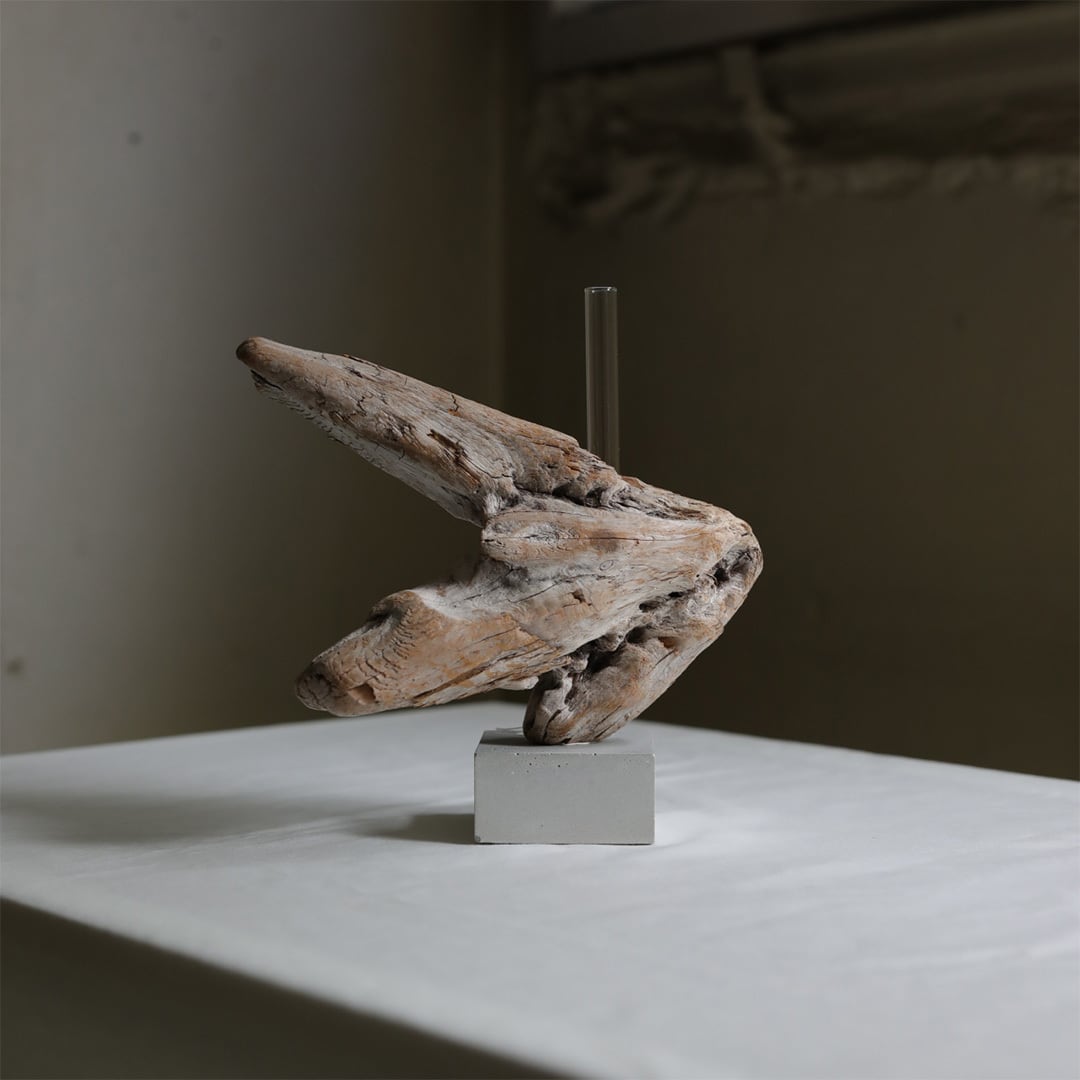 saisei (再生) driftwood flower vase cement 無塗装 | FREEPARK