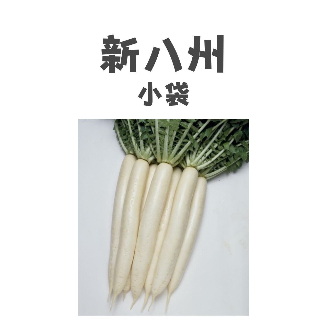 新八州 ダイコン種子・DF小袋