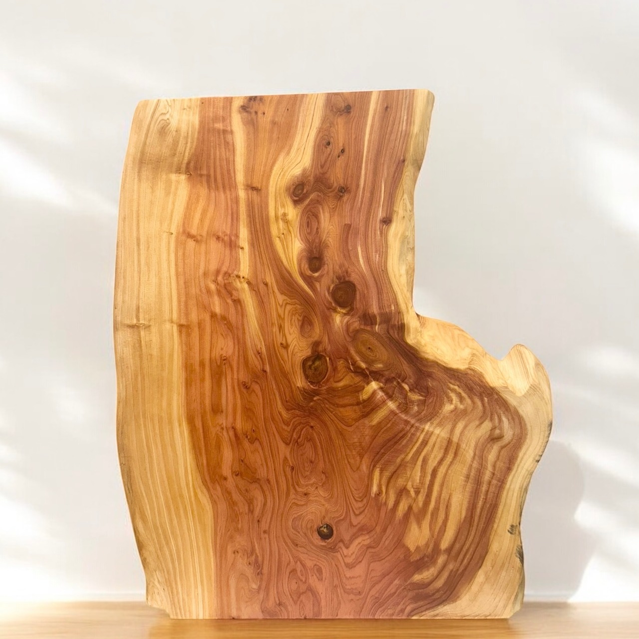 木の結婚証明書｜イブキ｜No.506