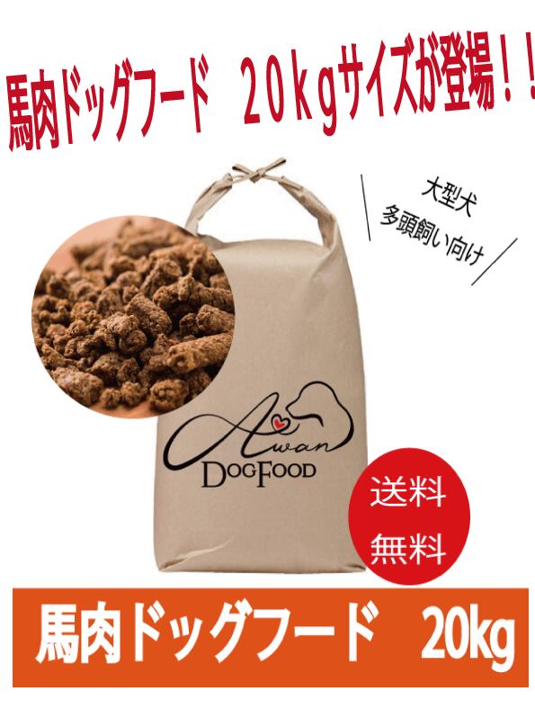 OBREMO 成犬用ドッグフード 馬肉800g オブレモ ドッグフード OBREMO 成