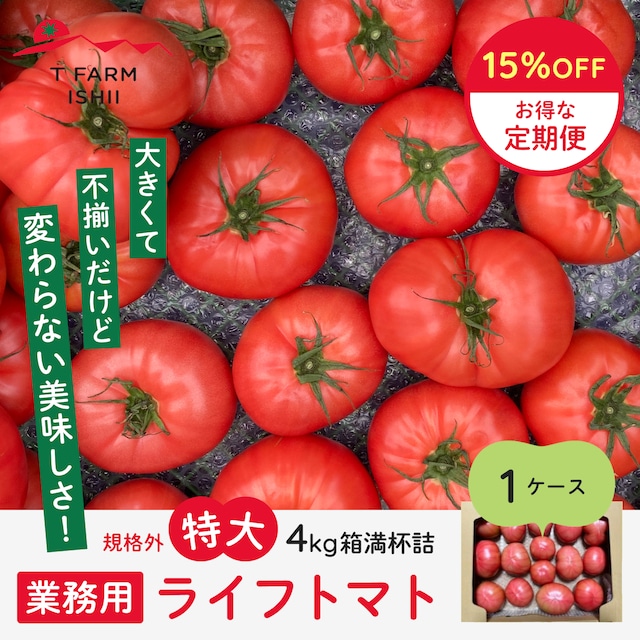 月1回配送【定期便15%OFF】業務用「ライフトマト」規格外特大 4㎏箱満杯詰 1ケース