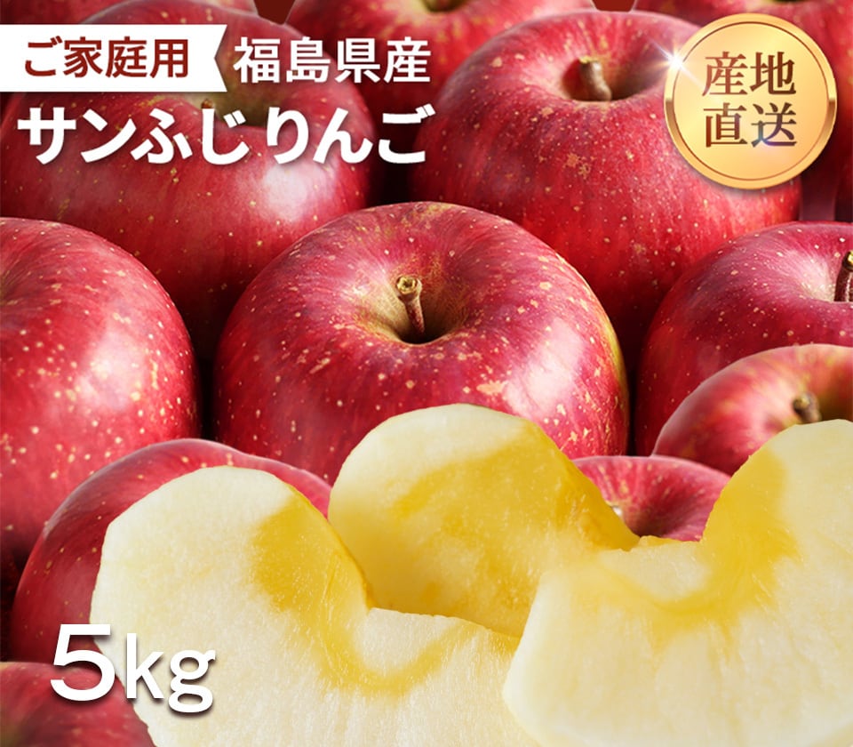 飯坂ファーム　サンふじ　訳あり】りんご　家庭用　5kg